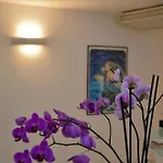 Gatto Bianco קאפרי