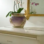 מלון Gatto Bianco