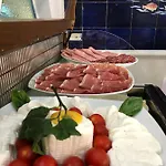 Gatto Bianco