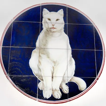 Gatto Bianco