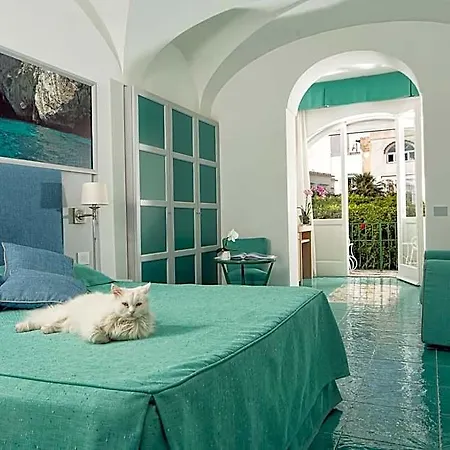 Gatto Bianco 4* קאפרי