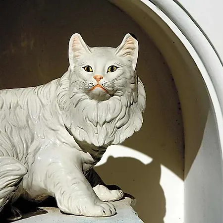 Gatto Bianco מלון קאפרי