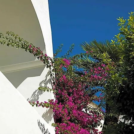 Gatto Bianco Hotel Capri