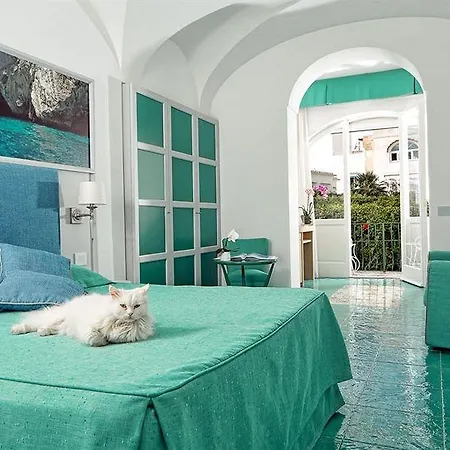 Gatto Bianco 4*