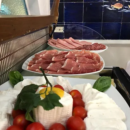 Gatto Bianco