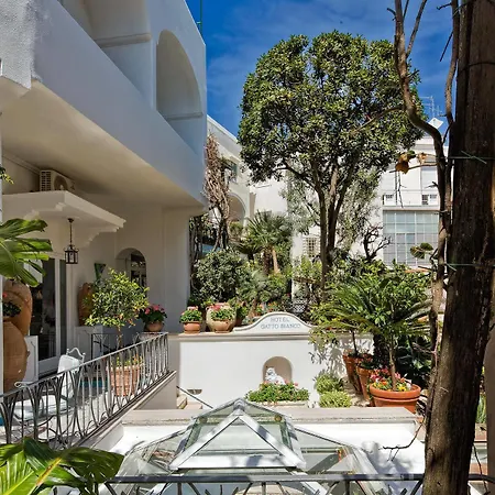 Hotel Gatto Bianco 4*