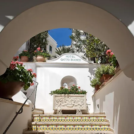Hotel Gatto Bianco