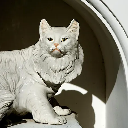 מלון Gatto Bianco קאפרי