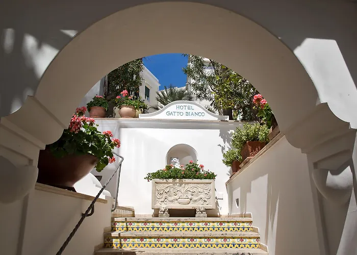 Gatto Bianco 4*