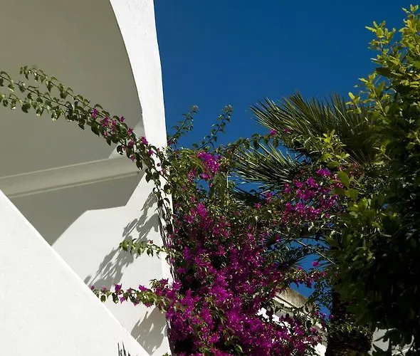 Hotel Gatto Bianco 4*