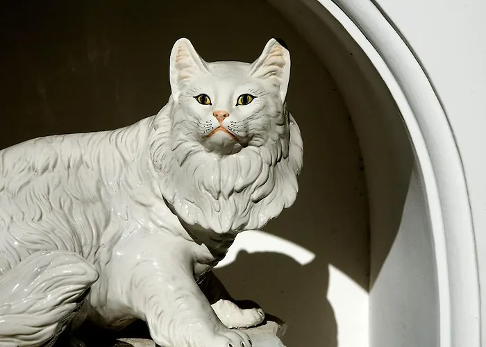 Hotel Gatto Bianco Capri