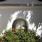 Gatto Bianco Hotel 4*