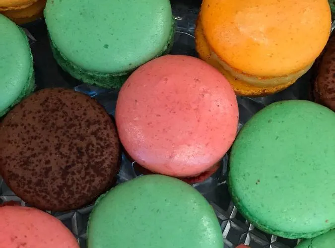 Gatto Bianco カプリ